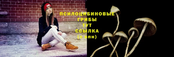 стафф Бородино