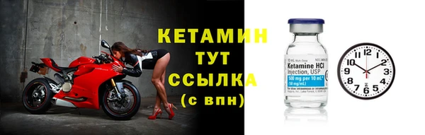 стафф Бородино