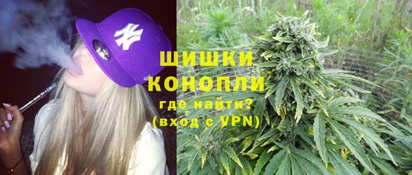 стаф Бронницы