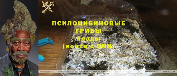стаф Бронницы