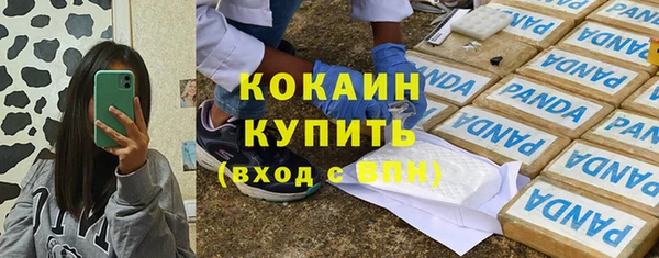 стафф Бородино