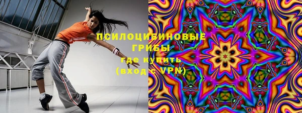 стаф Бронницы