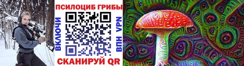 Псилоцибиновые грибы Psilocybine cubensis  Ессентуки 